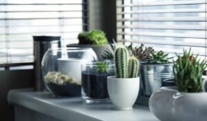 Decoração sustentável como deixar sua casa mais ecológica