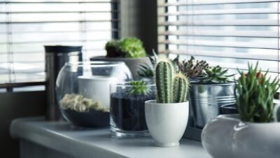 Decoração sustentável como deixar sua casa mais ecológica