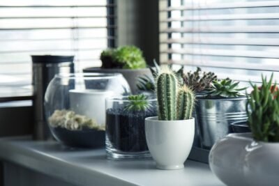 Decoração sustentável como deixar sua casa mais ecológica